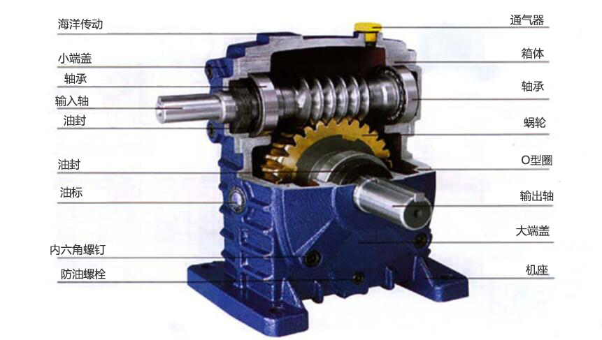 WPA蝸輪蝸桿減速機結構